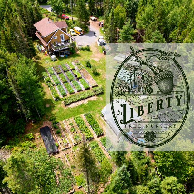 Liberty Tree Nursery