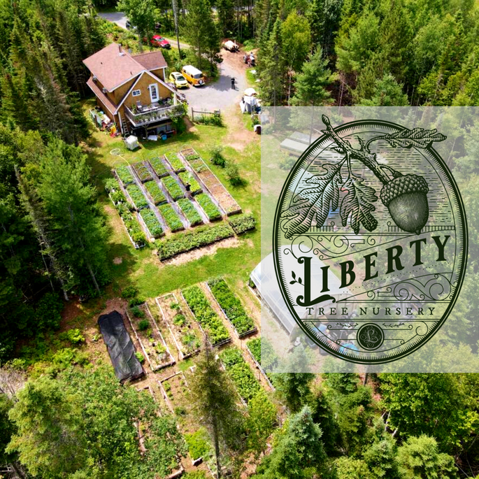 Liberty Tree Nursery
